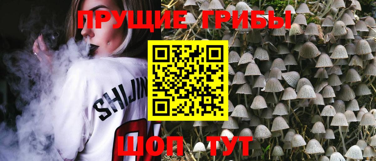 Псилоцибиновые грибы Psilocybine cubensis  Вход с VPN  Бирск 